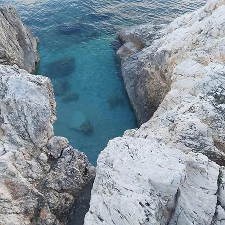 Pulabella *